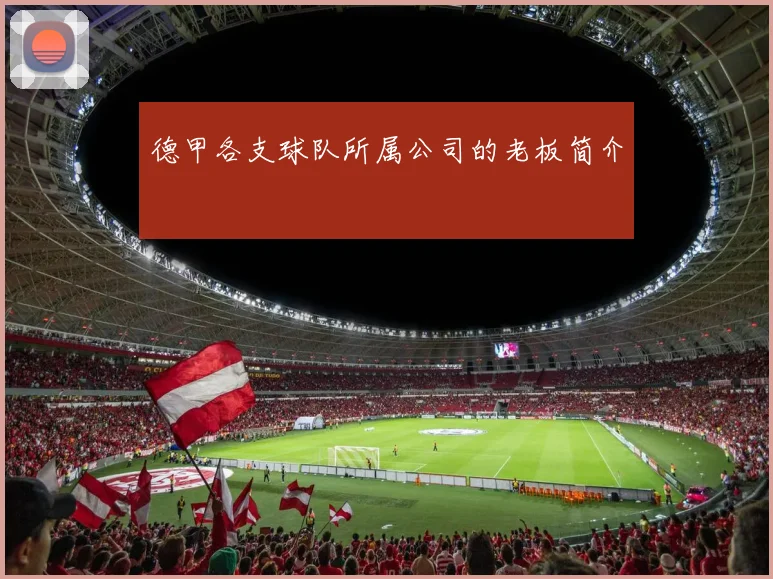 德甲各支球队所属公司的老板简介