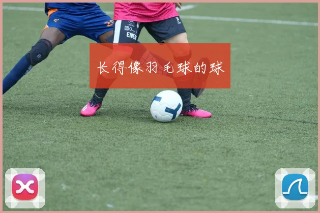 长得像羽毛球的球