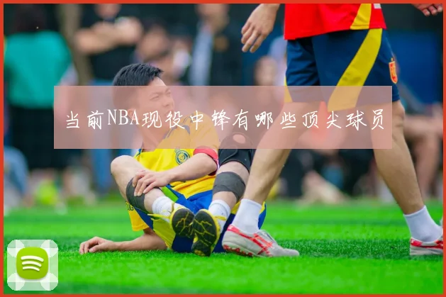 当前NBA现役中锋有哪些顶尖球员
