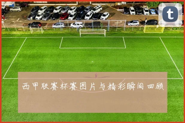 西甲联赛杯赛图片与精彩瞬间回顾