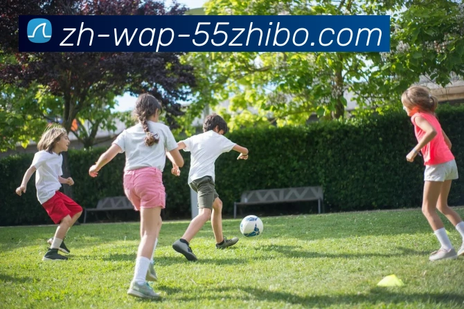 App Interface Preview