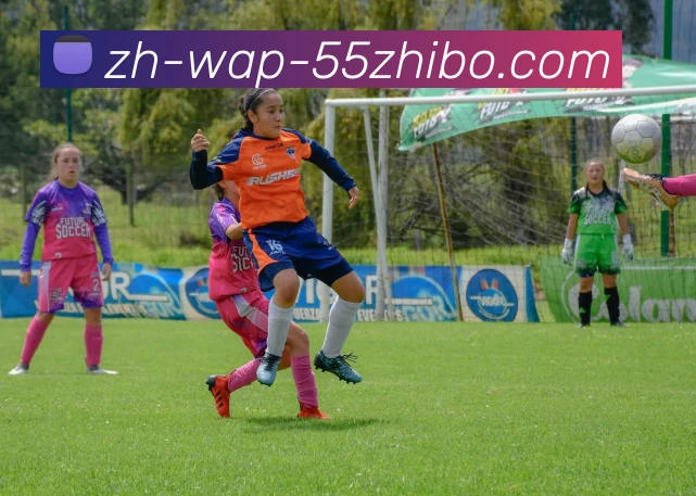 55直播APP 封面图